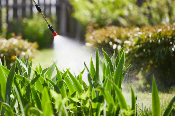24/7 Emergency Fumigation Services experts in Oliver Springs, TN