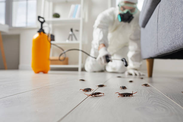 Trusted Fumigation Services service in Oliver Springs, TN - Nex Pest Control