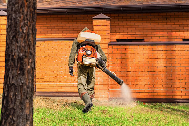 Trusted Rodent Control service in Oliver Springs, TN - Nex Pest Control
